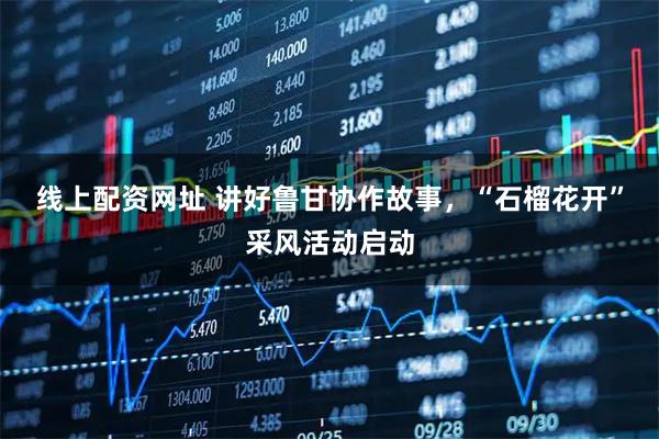 线上配资网址 讲好鲁甘协作故事，“石榴花开”采风活动启动